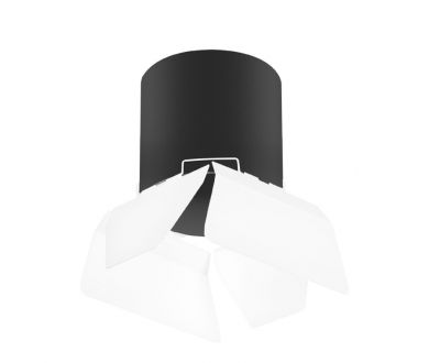 Накладной светильник Lightstar Rullo (213487+202486) R3487486