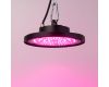 Фитопрожектор для растений Эра FITO-50W-RB-LED-UFO Б0053280