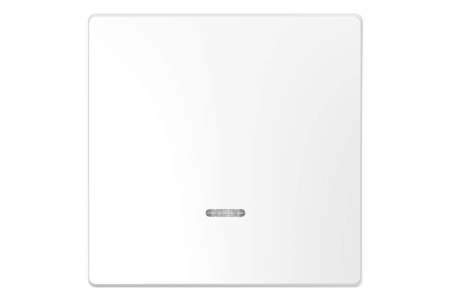 Клавиша одинарная Schneider Electric Merten D-Life MTN3320-6035