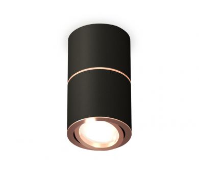 Купить Потолочный светильник Ambrella Light Techno Spot XS7402200 (C7402, A2073, C7402, N7005) Потолочный светильник Ambrella Light Techno Spot XS7402200 (C7402, A2073, C7402, N7005)