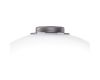 Настольная лампа Lightstar Colore 805906