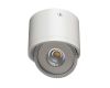 Потолочный светодиодный светильник Arte Lamp Studio A4105PL-1WH