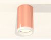 Потолочный светильник Ambrella Light Techno Spot XS6326020 (C6326, N6245)