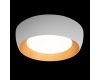 Потолочный светильник Loft IT Folk 10255/500 White
