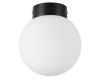 Потолочный светильник Lightstar Globo 812017