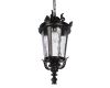 Уличный подвесной светильник Loft IT Verona 100003P