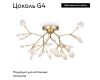 Потолочная люстра Freya Florencia FR5049CL-27G