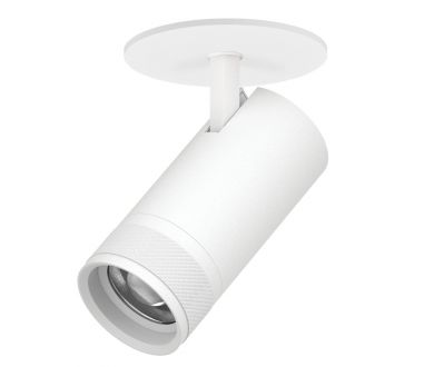 Встраиваемый светильник 20-55G с адаптером Lightstar Canno Pro C4306RS