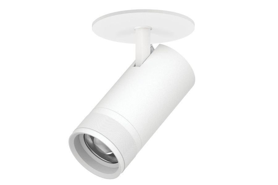 Встраиваемый светильник 20-55G с адаптером Lightstar Canno Pro C4306RS