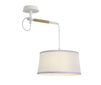 Настенно-потолочный светильник F-Promo Eureka 3005-1P