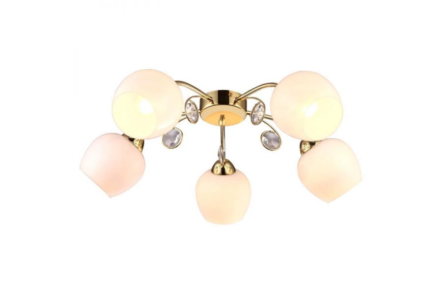 Потолочная люстра Arte Lamp Millo A9549PL-5GO