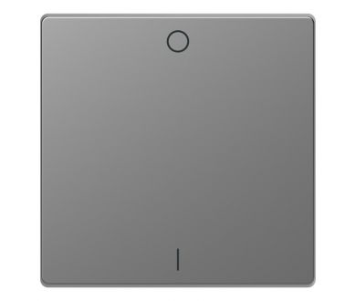 Клавиша одинарная Schneider Electric Merten D-Life MTN3301-6036