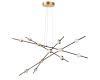Подвесная люстра Lightstar Bergamo 745247