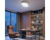 Потолочный светильник Citilux Floom CL736152