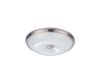 Настенно-потолочный светильник Odeon Light Pelow 4957/4