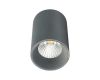 Потолочный светильник 20003 20003SMU/01LED SGY