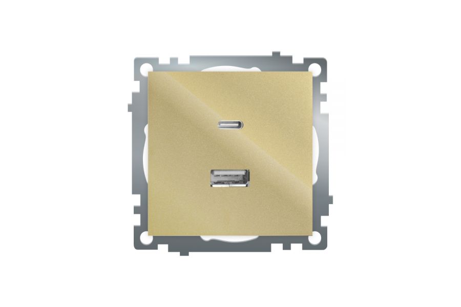 Розетка 2-местная USB + type C Stekker Катрин GLS10-7116-08 50053