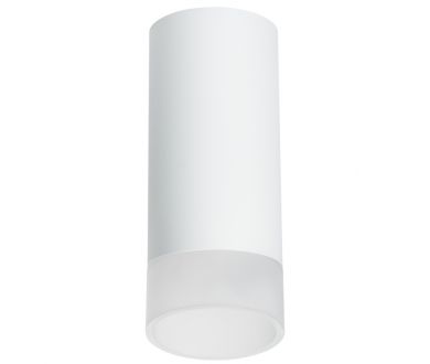 Накладной светильник Lightstar Rullo R648681 (216486+202481)