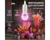Фитолампа для растений Эра ФИТО A65-20W-PL-E27-GR Б0068597