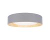Потолочный светильник Loft IT Coin 10202 Grey