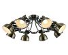 Потолочная люстра Arte Lamp Martin A5216PL-8AB