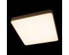 Потолочный светильник Loft IT Flims 10228/D