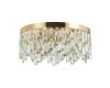 Потолочная люстра Odeon Light Semura 4986/6C