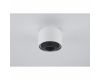 Потолочный светильник iLedex Technical VISION 300 WHITE
