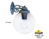Уличный настенный светильник Fumagalli Globe 300 G30.131.000.VXF1RDN