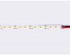 Светодиодная лента Ambrella Light LED Strip 12В 2835 14,4Вт/м 3000K 5м IP20 GS1301
