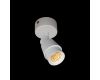 Спот Loft IT Comb 10330/A White