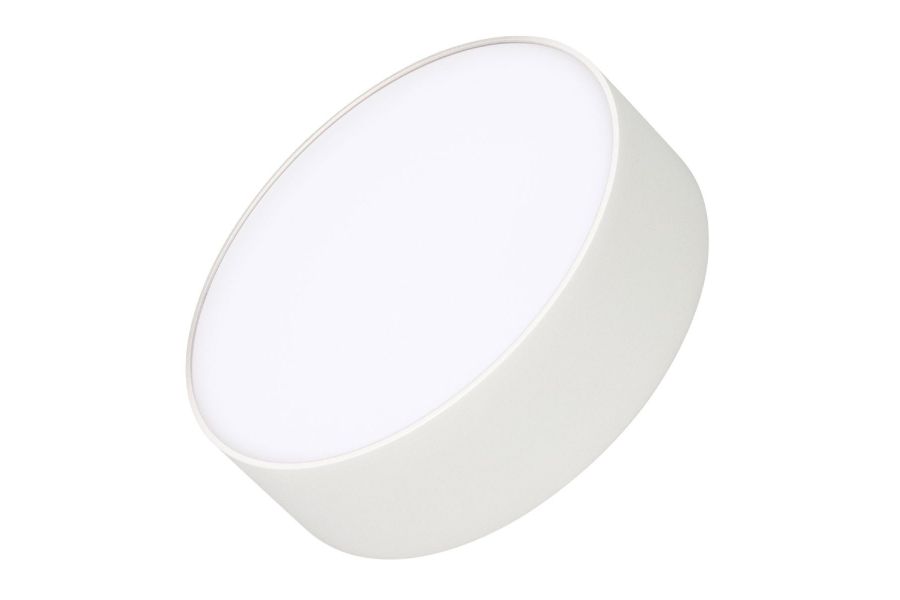 Потолочный светильник Arlight IM-RONDO-EMERGENCY-3H-R175-19W Day4000 (WH, 120 deg, 230V) 041051