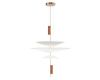Подвесная люстра Lightstar Viola 814532
