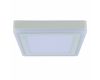 Потолочный светодиодный светильник Arte Lamp Altair A7716PL-2WH