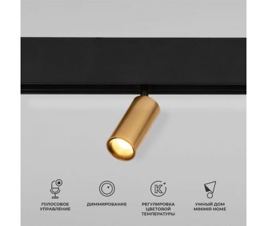 Магнитный трековый светильник  Elektrostandard Slim Magnetic Dim Cantors 5W 2700-6500K латунь 4690389195303 a063531