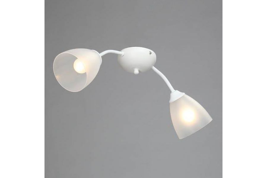 Потолочная люстра Vitaluce V3737-0/2PL