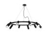 Подвесная люстра Lightstar Rullo (571020+214437-5+214487-5+202431-10) LR0203758751