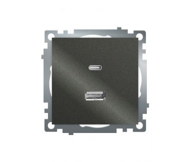 Розетка 2-местная USB + type C Stekker Катрин GLS10-7116-06 50052