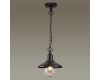 Уличный подвесной светильник Odeon Light Campa 4965/1