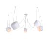 Подвесная люстра Lussole Loft Shirley LSP-8175