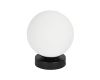 Настенно-потолочный светильник Arte Lamp Alcor A2224PL-1BK