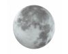 Настенно-потолочный светильник Sonex Moon 3084/CL