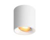 Накладной светильник Denkirs Dk3040 DK3090-WBR