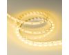 Светодиодная лента Arlight RT-B60-10mm 24V Yellow (14.4 W/m, IP20, 5060, 5m) (Arlight, 14.4 Вт/м, IP20) 008816(2)