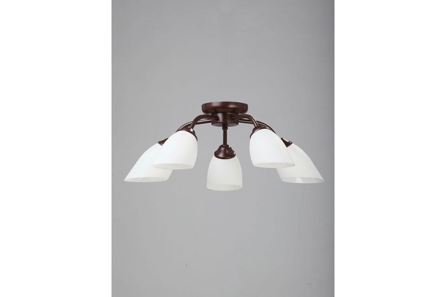 Потолочная люстра Vitaluce V3252/5PL