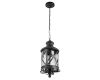 Уличный подвесной светильник Loft IT Ferrara 100020P