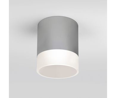 Уличный потолочный светильник Elektrostandard Light LED 4690389177965