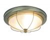 Потолочный светильник Arte Lamp 16 A1308PL-3AB