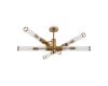 Люстра на штанге Freya Radiant FR5642PL-06BS