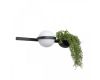 Настенный светильник Loft IT Jardin 10121W/A